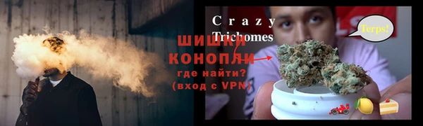 ALPHA PVP Новозыбков