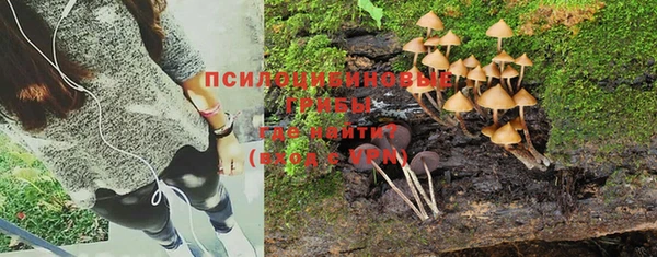 мяу мяу мука Абинск