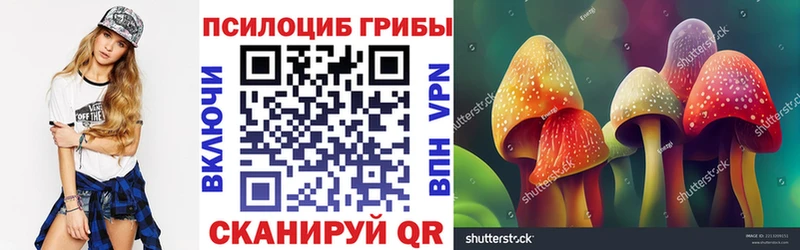 Псилоцибиновые грибы прущие грибы  Азнакаево 