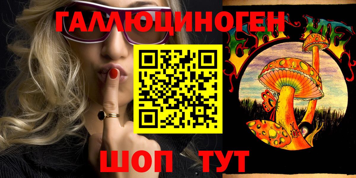 Галлюциногенные грибы Psilocybe  Вход с VPN  Азнакаево 